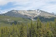 24 - Icefield yo Jasper - IMG_1044